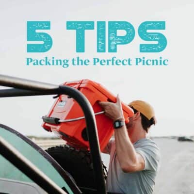 5 picnic tips