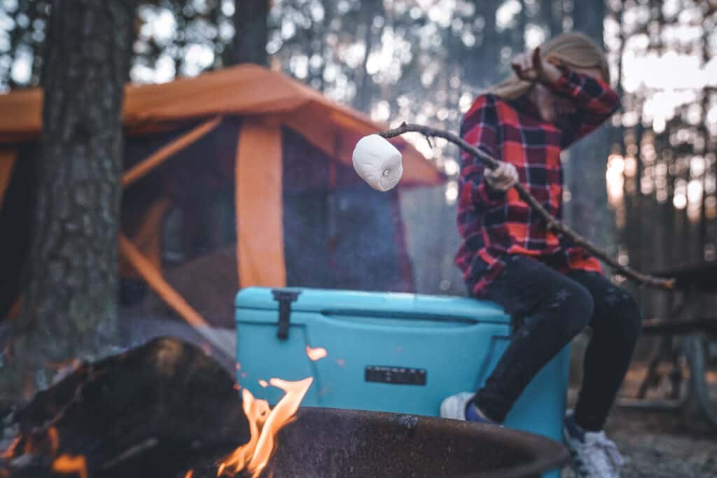 Roasting Marshmallow While Camping