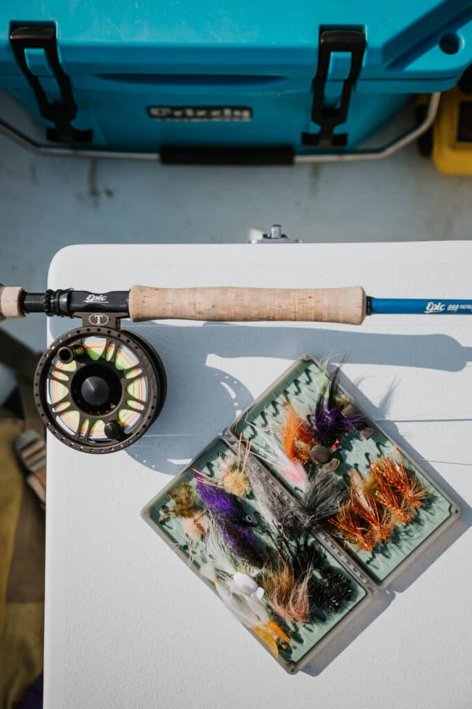 Mastering Fly Fishing Techniques, Tips & Essential Gear