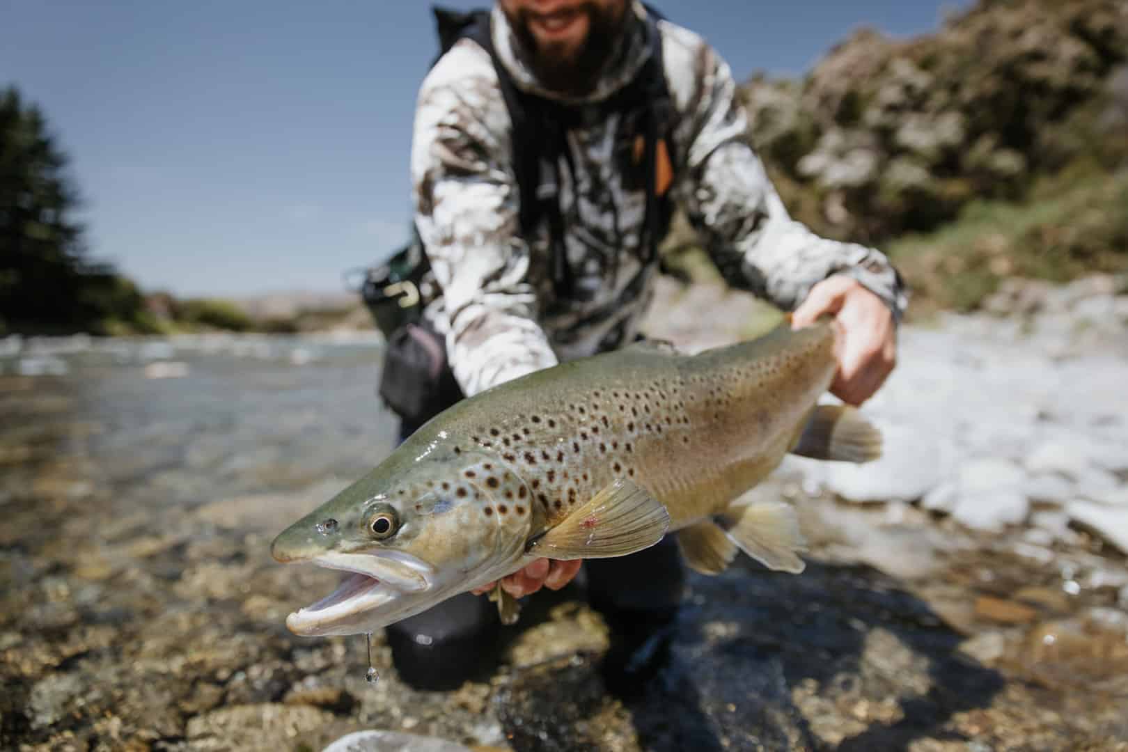 How Does Hot Weather Affect Trout Fishing?