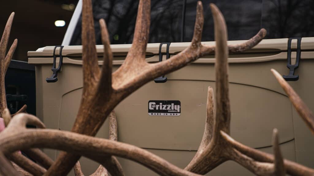 grizzly 165 cooler sitting in bed of truck with elk antlers sitting in front of cooler